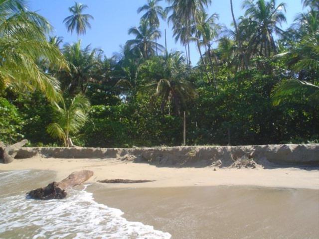 Sunrise Beach Hotel Puerto Viejo de Talamanca Exterior photo